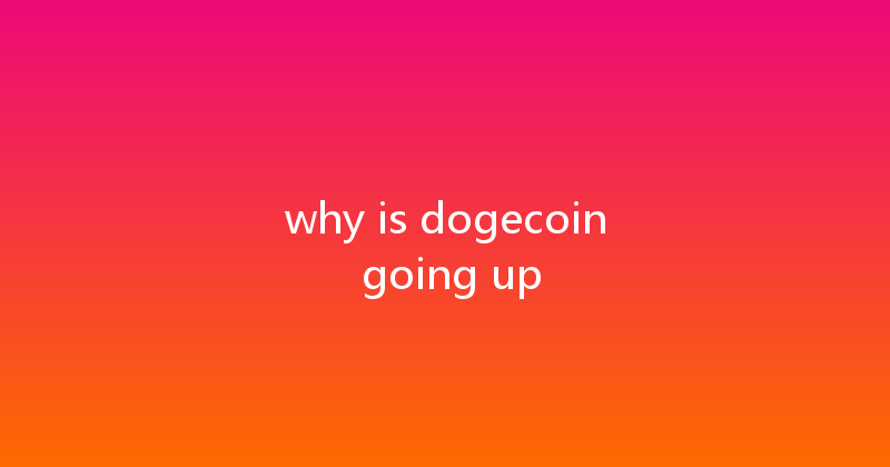 why is dogecoin going up 